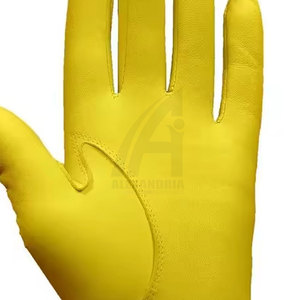 บริการ OEM ผลิตภัณฑ์กีฬา ถุงมือกอล์ฟสั่งทำได้ตามขนาด ยอดขายดี ราคาถูก โดย Alexandria Industries - Product Image 6