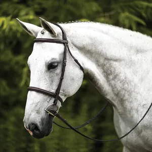 Nueva Llegada 2026: Brida de Cuero para Caballo con Riendas de Alta Calidad, Productos Ecuestres a Precio Directo de Fábrica - Product Image 6