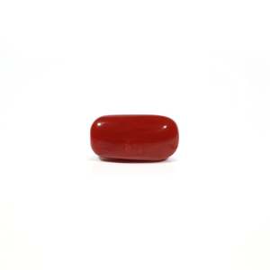 Natural Red Coral Oval Cabochon Loose Gemstone 5.04 Carat Certified Wholesale - Product Image 1