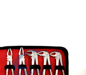 Professional Molar Extraction Forceps Stainless Steel Dental <b>Tooth</b> Removal <b>Tool</b> Hand Crafted Surgical Instrument - Product Image 6