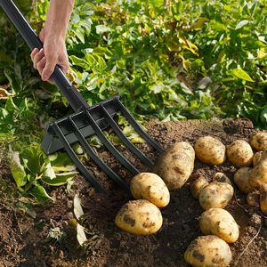 Forca da Giardinaggio Robusta a 5 Denti con Manico in Metallo e Legno, Forca da Giardinaggio 41 con Impugnatura a Y, Forca per Scavare in Acciaio Forgiato - Product Image 5