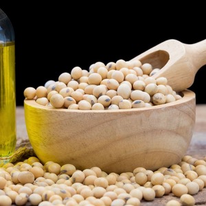 Semillas de Soja Orgánicas Crudas Ofrecidas por Proveedores Exportadores Experimentados con Servicio de Clasificación Limpia y Soporte para Pedidos al por Mayor Frescas - Product Image 2