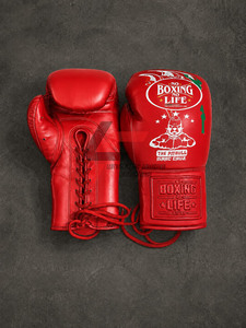 Gants de boxe professionnels personnalisés de haute qualité, fabriqués en usine, avec motif Pit Bull imprimé, « No Boxing No Life » - Product Image 3