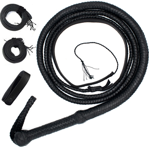 Fouet en cuir noir à poignée tressée 16 brins, fouet de combat robuste WP-1101 - Product Image 1
