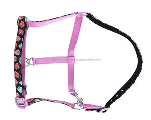 Cabestro de Nylon Acolchado Personalizado con Forro de Felpa Suave y Ajustable, Equipo de Entrenamiento Equino Duradero - Product Image 3