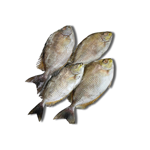 Lot de lapins entiers IQF de qualité supérieure, produits de la mer et poissons surgelés sous vide pour l'exportation en gros et la distribution en vrac - Product Image 1