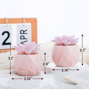 Piante Succulente Artificiali Carine con 2 Vasi in Ceramica Rosa per Decorazione Ufficio, Bagno, Cucina, Camera da Letto, Vanità - Product Image 3