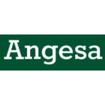 ANGESA INGENIERIA INDUSTRIAL MECANICA S.L. logo