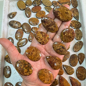 Cabujón de Bronzita Natural, Gema Metálica Marrón Pulida, Piedra Suelta de Formas Variadas, Lote a Precio Mayorista para Fabricación de Joyas - Product Image 1