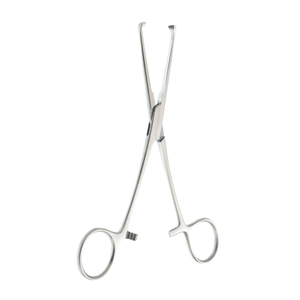 Pinces à tissus Allis pour garçons, 6 pouces, motif robuste, 6x6 dents, en acier inoxydable chirurgical, instrument de préhension réutilisable - Product Image 4
