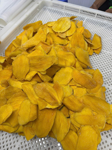 Natural Dried Soft Mango Slice with Soft Chewy Texture Tropical Flavor No Artificial Colors OEM Private Label Bulk Wholesale - Product Image 5