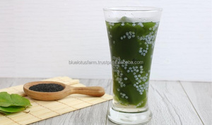 เจลลี่หญ้าเขียว GEM - Product Image 5