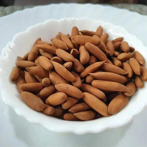 Pignons de pin naturels, pignons de pin sauvages, pignons de pin biologiques, noyaux de pignons de pin avec coquilles - Product Image 1