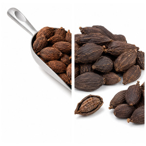 Hot Sale Special Offer Tasty International Standard Vietnam Manufacturer Supply Black Cardamom Bulk Supply - Product Image 2