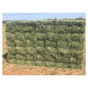 Heno de alfalfa para alimentación animal / Pellets de heno de alfalfa / Heno de Timothy en pacas - Product Image 1