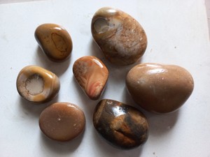 Catégorie de produit Pierre concassée Gravier de haute qualité Coral River Pebble Best Standard Export Crushed Stone - Product Image 5