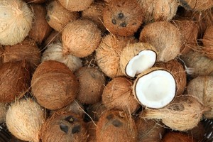 Husked <b>Coconut</b> Sweet and Fresh OEM Export Service, Straight From VIA - Vietnam! - Product Image 2