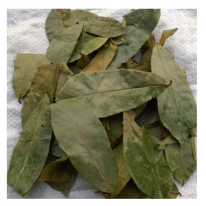 Hojas de Graviola de Alta Calidad para Mezclas de Té y Producción de Bebidas Herbales, Suministro a Granel |   OFERTA ESPECIAL DE 99GD - Product Image 1