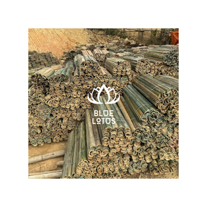 PRECIO ESPECIAL: Varas de Bambú Natural de 50cm, 5-6mm de Diámetro, con Bordes Limpios y Rectos, Ecológicas, No Tóxicas, Marca Blue Lotus - Product Image 1