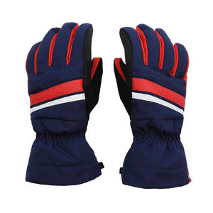 Proveedor Directo de Fábrica de Guantes de Esquí Impermeables Cómodos de Alta Calidad, Guantes de Invierno con Diseño de Logotipo Personalizado y Calefacción - Product Image 1