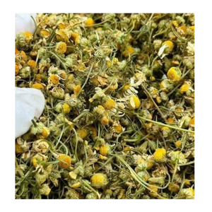 Fleurs de chrysanthème naturelles séchées pour le thé – Fournisseur en gros du Vietnam pour mélanges de tisanes et boissons - Product Image 1