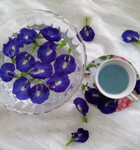 Té de Flor de Guisante Mariposa Orgánico Natural Azul Suplemento Herbal Floral Té Saborizado Descuento Disponible para Compras al por Mayor Suministro - Product Image 5