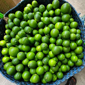 Limón Verde Fresco Orgánico Sin Semillas - Piel Delgada y Sabor Dulce en Agua Caliente 6kg - Sra. ALINA - Product Image 3