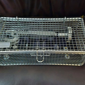 Sistema de Extracción Dental BENEX II, Juego Completo para Consultorios Dentales, Herramienta de Precisión de Alta Calidad para una Extracción Segura y Rápida - Product Image 5