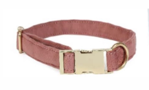 Cute Cartoon Printed Nylon <b>Dog</b> <b>Collar</b> for Fashion Pets from Divine International - Product Image 2