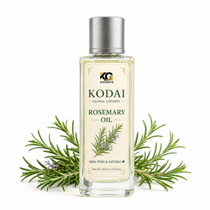 น้ำมันโรสแมรี่โคได 100% บริสุทธิ์จากธรรมชาติ ชนิดน้ำ พร้อมปลั๊กแบบ US สำหรับดูแลผิว ใช้ในบ้าน จากทัมมิลนาฏ - Product Image 1