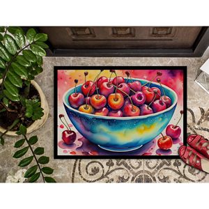 Colorful Cherries Non-Slip Indoor/Outdoor Doormat Washable Low Pile 24H X 36W Front <b>Door</b> <b>Mat</b> for Entryway - Product Image 3