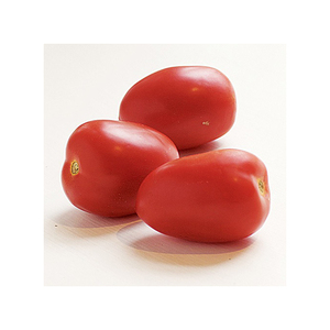Tomates fraîches en vrac disponibles pour les marchés de gros et les distributeurs - Product Image 3