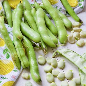 Haricots de haute qualité 25 kg en vrac, nutritifs et sains, approvisionnement premium à bon prix - Product Image 2