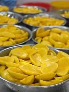 Vietnam Mango Premium Quality IQF Type Customize Cutting Shape Natural Sweet, IQF Mango <b>Dice</b> - CARYLN - Product Image 5