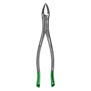 Pinzas de Extracción Ergonómicas Universales de Acero Inoxidable # 151 Extractor de dientes quirúrgico de mango verde para dientes inferiores - Product Image 3