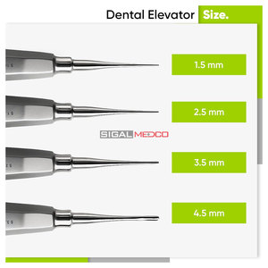Surgical Tooth Extraction Instruments 1.5mm 2.5mm <b>3</b>.5mm 4.5mm Professional Dental Root Dental Elevator Set of 4 pcs Set - Product Image 6