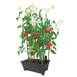Bac à fleurs auto-arrosant pour patios et espaces intérieurs - Product Image 1