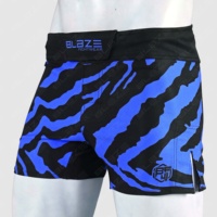 Shorts de combat Blaze Fight Wear Bjj Mma, design personnalisé, shorts de MMA pour hommes