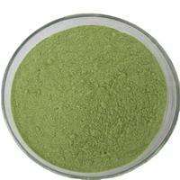100% Bubuk Daun Moringa Oleifera Alami Organik Premium Superfood India Kaya Nutrisi Suplemen Kesehatan Herbal 12 Bulan