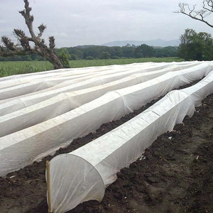 Venta al por mayor PP tela agrícola no tejida spunbonded Control de malas hierbas y tela de barrera de semillas para uso en bolsas tela no tejida de protección - Product Image 3