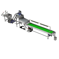 Chaîne de tri agricole automatique TTQ pour noyaux de noix de cajou, décortiqueuses à convoyeur, capacité 1000 kg, 220V/380V, puissance 0,4 kW, pour le traitement des noix de cajou