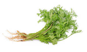 Semillas Enteras de Cilantro Indio Frescas de Primera Calidad, 100% Naturales de Gujarat, Nueva Temporada, Listas para Exportar, Especias con 12 Meses de Vida Útil - Product Image 2