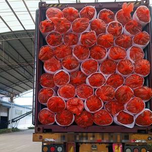 แก้วฉนวนกันความร้อนไฟเบอร์กลาส R1.3 ASTM4859.1/1.5/1.8/<span class=keywords><strong>2.3</strong></span>มาตรฐานชิลี Manta de Lana de vidrio de fibra ด้วยอลูมิเนียมฟอยล์ - Product Image 6