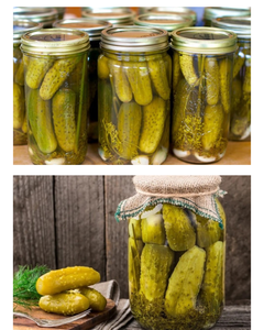 Pepinos encurtidos crujientes al por mayor - Recién cosechados, de alta calidad, ideales para distribución a granel. - Product Image 3