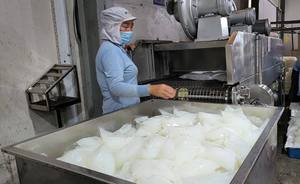 Nata de Coco Marca Vdelta Ben Tre Vietnam, Bebida Lista para Beber de Sabor Dulce y Productos de Coco en Bolsa, GELATINA DE COCO - Product Image 5