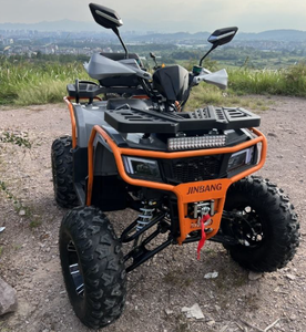 Quad ATV automatique avec moteur CVT 200cc, nouveau design, homologué CE - Product Image 3