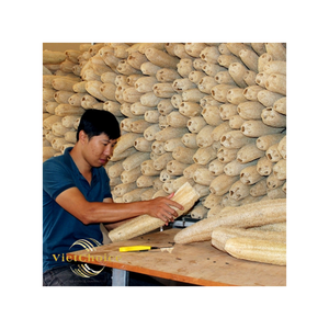 Éponge naturelle multi-usages VietChoice pour le soin du corps, la vaisselle, le nettoyage, la décoration intérieure et extérieure, écologique, pour toutes les surfaces marines - Product Image 5
