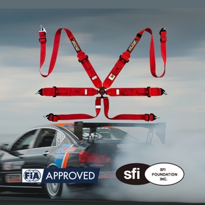 เข็มขัดนิรภัยสำหรับแข่งรถ TBRACING SPORT S ได้รับการรับรองมาตรฐาน FIA 8853 ปี 2016 แบบหกจุด รับผลิตแบบ OEM ODM พร้อมโลโก้และสีตามสั่ง ขายส่ง - Product Image 1