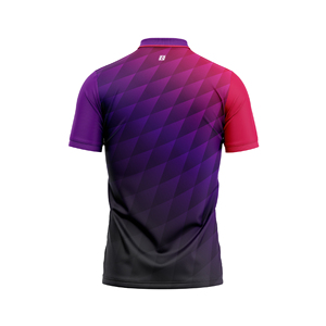 Vêtements de sport personnalisables OEM ODM Vêtements de sport Vente en gros Pickleball Tennis Polo Badminton Uniformes Vêtements de golf y compris les vêtements - Product Image 6