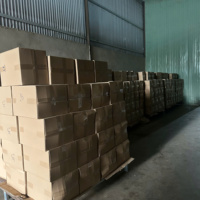 100% natuurlijke verse rauwe cashewnoten WS Voedzaam Heerlijk Hoge kwaliteit Vietnam Productie Gemeenschappelijke 12 maanden houdbaarheid 20kg